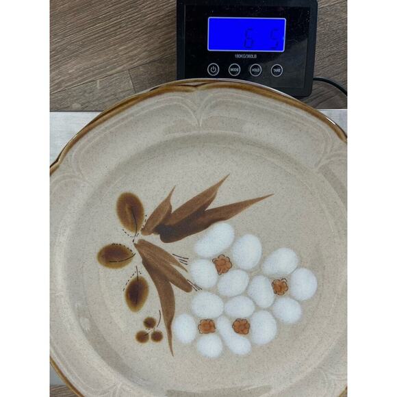 4 Vintage The Classics Hearthside Stoneware Castlewood 10.5” Dinner Plates Japan - Picture 10 of 10